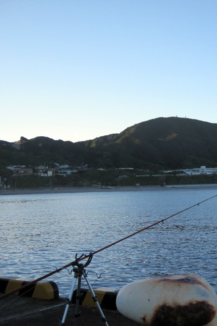 神津島でのブッコミ釣り