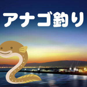 アナゴといえば夜釣りのイメージ画像