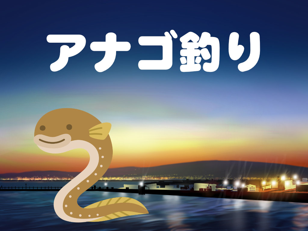 アナゴといえば夜釣りのイメージ画像