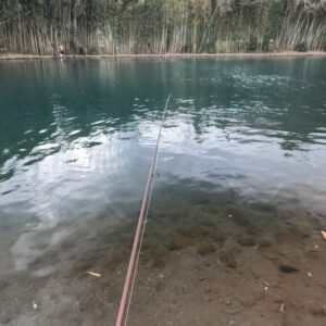 今日も良い場所には入れない、寝坊助でした