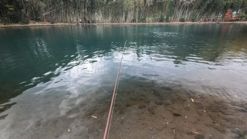 今日も良い場所には入れない、寝坊助でした