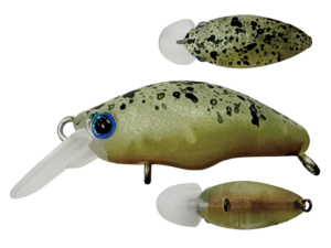 スミスのダンゴウオ買いました